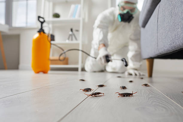 Trusted Fumigation Services service in Homewood, AL - Nex Pest Control