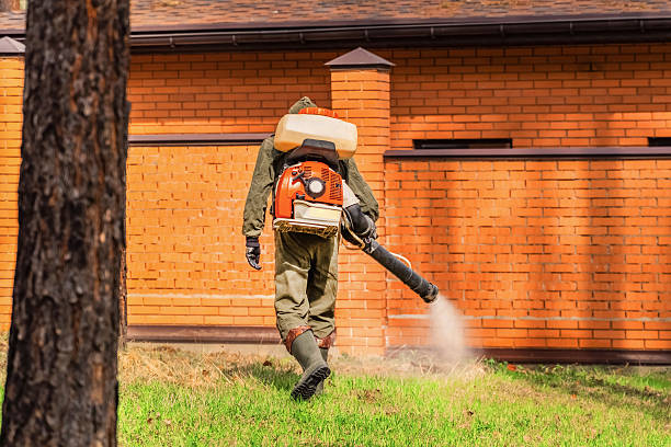 Trusted Cockroach Control service in Homewood, AL - Nex Pest Control